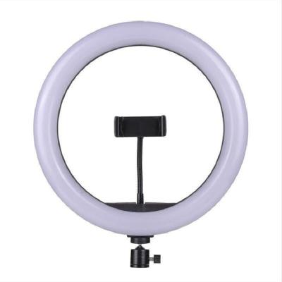 China 12 Inch 30cm PORTABLE Living Beauty Ring Led Light With Triangle Bracket Fill Light for sale