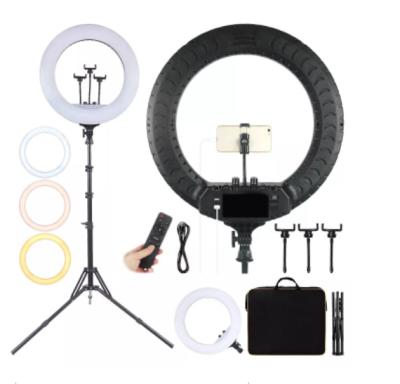 China PORTABLE remote control M22 inch beauty live broadcast LED anchor beauty light led sfie livest for sale