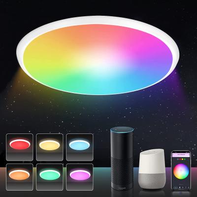 China Amazon Alexa Google Home IFTTT Smart Tuya wifi RGB LED Lamp Fixture Circular Surface Mounted Ceiling Light cilling led for sale