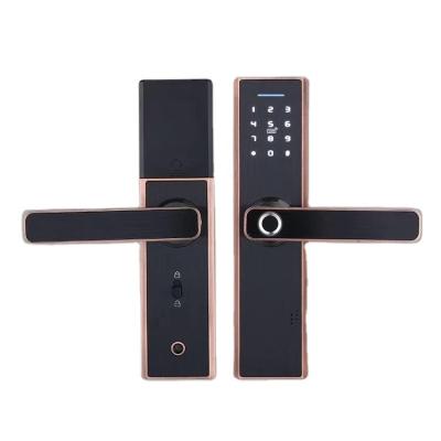 China New Smart Door Lock Password Door Fingerprint Home Smart Lock 100 Digital Smart Door Lock (Pieces) for sale