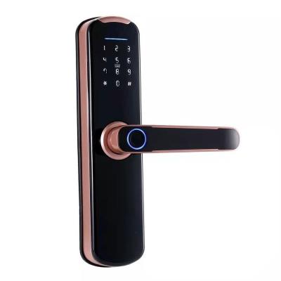 China Hot 50 Digital Smart Door Lock Door Lock Fingerprint Smart Card Smart Door Lock (Pieces) for sale