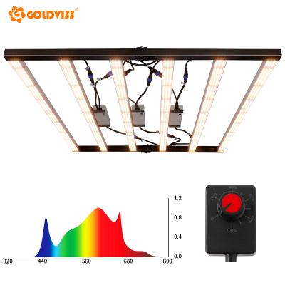 China Seed Starting Premium Full Spectrum Dimming Control 600w Led Grow Lights For Indoor Plants 6 Bars Lm301b Led Grow Light Greenhouse for sale