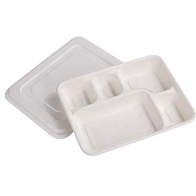 China Hot Sell Biodegradable 2 3 4 5 6 Compartments Lunch Plate Food Tray Bento Box Lunch Container Fast Food Box With PET Lid zu verkaufen