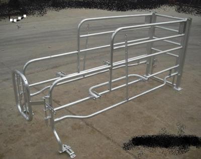 China Pig Guinea Pig Iron Cages Farrowing Crate Cages For Pig Farm Equipment for sale