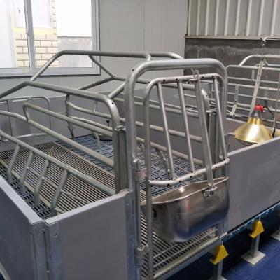 China Farms new design pig pen divided plastic farrowing crates for sale used pig cages for sow farm for sale