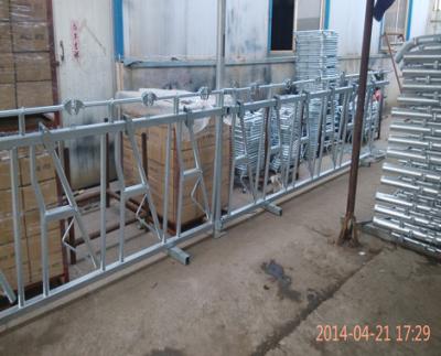 China Durable Hot Dip Galvanized Jersey Cow Force Collar Used Cattle To Feed Force Collar Prices In India For Sale for sale