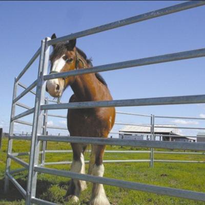 China Durable High Quality Cheap Used Horse Fence Panels Stable Stalls For Sale for sale