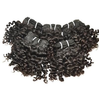 China 100% Italian Remy Hair Good Price Curly Hair No Chemical Brazilian Cuticle Aligned Curly Virgin Hair for sale