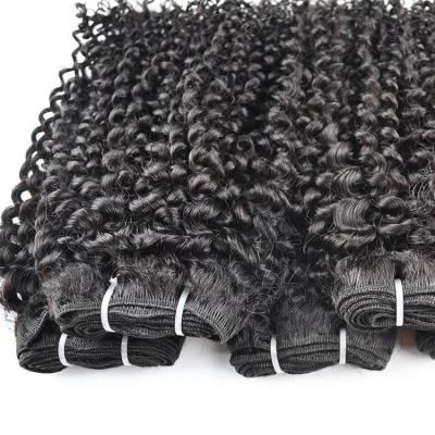 China Best Curly Grade 10A Brazilian Curly Hair , Unprocessed Virgin Cuticle Aligned Afro Kinky Curly Hair Apply , Raw Hair Bundles for sale