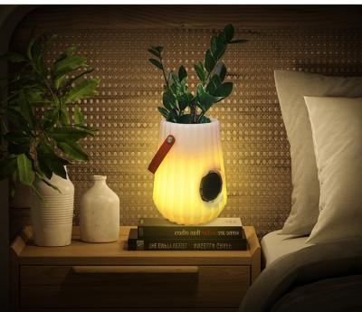 China Post-modern post-modern LED home decorative outdoor multi-color light flower pots speaker music wireless smart flower pots for sale