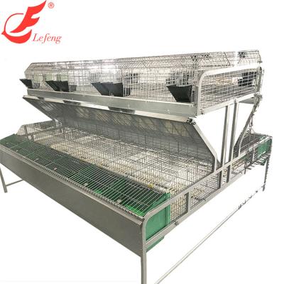 China Other Automatic Animal Cages Commercial Rabbit Cages Chicken Cages Farms 2019 Hot Product Restaurant Grocery Supply 5 Years 1 YEAR for sale