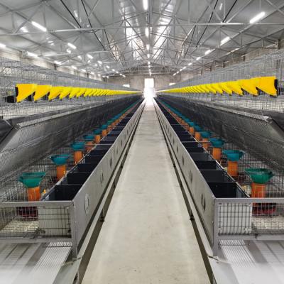 China Commercial Farm Rabbit Cages Industrial Rabbit Cage Wire Mesh Industrial Animal Breeding Cages For Farms for sale