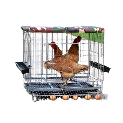 China Poultry Field Breeding Chicken Cages Iron Cages for sale