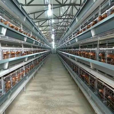 China Full Automatic Agricultural Egg Layer Chicken Cage Cage Poultry Farms H Type Battery Installation Equipment for sale