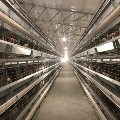 China Farms Layer Chicken Cage Fully Automated and Customizable Laying Broiler Hen /Laying Broiler Duck Cage for sale