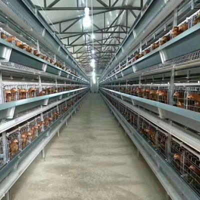 China Farms Chicken Cage Fully Automated and Customizable Laying Broiler Hen /laying Broiler Duck Cage for sale