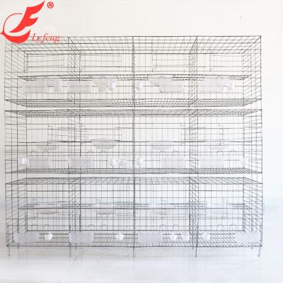 China Cultivate 3 Layers of Breeding Cage Pigeon Box Training Pigeon Cage Bird Cages Pigeon for sale