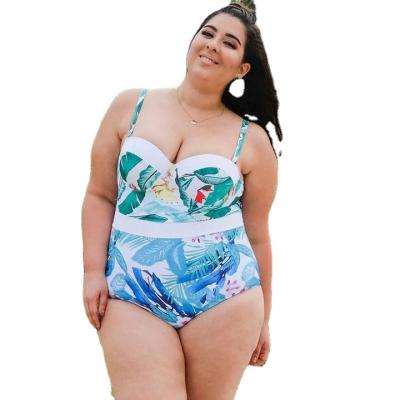 China Custom Designer Halter Print Bikini Antibacterial Custom Beachwear Bathing Plus Size Swimwear One Piece Swimsuit for sale