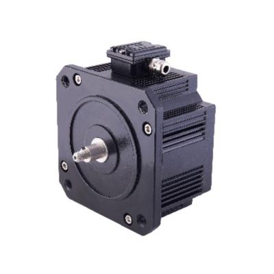 China 170TYD-S-12 150W Heavy Duty Sliding Door PM Synchronous Motor 170TYD-S-12 for sale