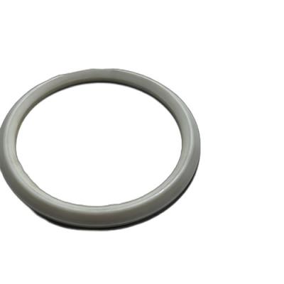 Cina Abrasion Resistance PTFE O Ring Customized Logo in vendita