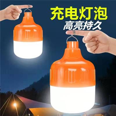 China Factory wholesale emergency camping camping home lamp led light bulbs bulb lights power battery charging rechargeable led chip for sale