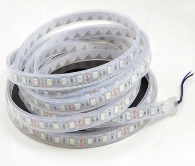 China IP68 LANDSCAPE Swimming Pool Underwater DC12V Flexible Waterproof Led Strip Light for sale