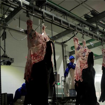 China Humane Cattle 250 Hour Halal Meat Processing Beef Slaughterhouse for sale