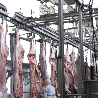 China Multifunction Halal Cow Slaughterhouse With ISLAMIC Slaughterhouse Equipment for sale