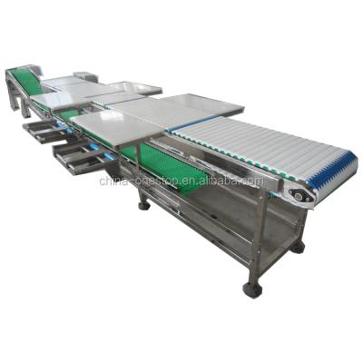 China Cattle Cattle Slaughter Stainless Steel PVC Beef Boning Conveyor for sale