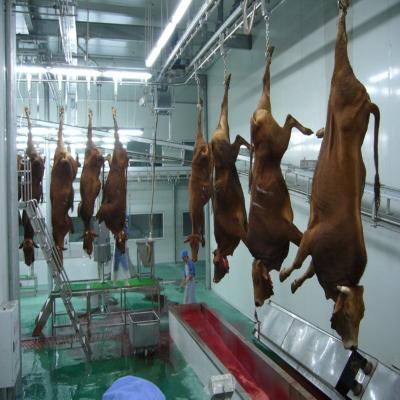 China Customized Slaughtering Line Buffalo Slaughterhouse Machine For Buffalo Slaughterhouse for sale