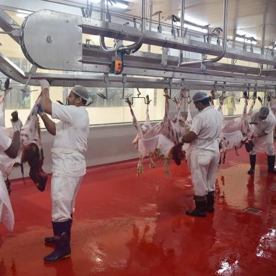 China Automatica 70 Head Per Hour Lamb Slaughterhouse Equipment For Sheep Slaughterhouse for sale