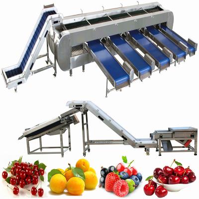 China Vegetable Fruit Washing Line Cherry Processing Equipment Fruits Washing Line for Blueberry Production Machine Mango Cleaning and Sorting Drying Machinery for sale