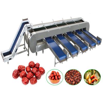 China Jujube Date Water Jujube Date Cleaning Equipment Middle East Date Washing Production Line Machine With Matching Drying Supplier for sale