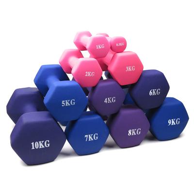 China Universal Hot Selling Hex Dumbbell Small Free Weights Fitness10kg Vinyl Dummbell for sale