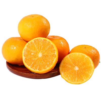 China Low Fat Dietary Fiber Fresh Fruit Tangerines Tangerine Lukam Oranges for sale