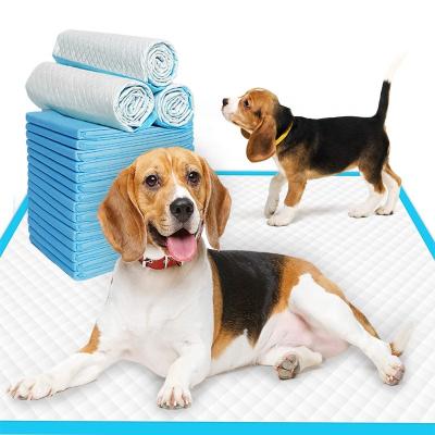 China Sustainable Disposable Absorbent 100 Pieces Pet Cat Pads And Dog Urinal Pad For Toilet Deodorizer for sale