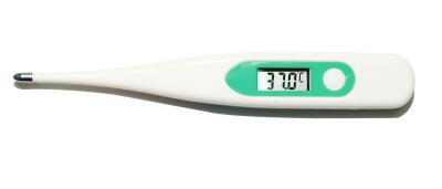 China Beroeps die Digitale Koortsthermometer met 1 Jaargarantie test Te koop