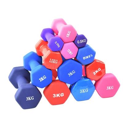 China Colorful Fitness Home Exercise Hex Vinyl Dipping PVC Neoprene Cast Dumbbells for sale