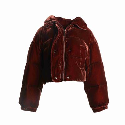 China New autumn and winter ladies jacket viable best-selling hot-selling duck down short zipper jacket for sale