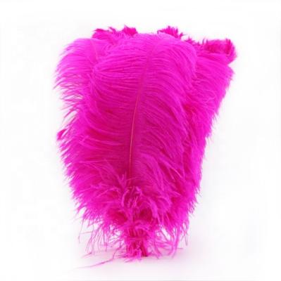 China Big Ostrich Feather Carnival Festival Ostrich Feather For Wedding And Party Decoration for sale