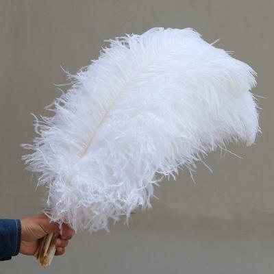 China Hot sale party/wedding/sale pole ostrich wing colorful feather 60-65cm carnival decoration/gray big for party wedding stage dresses stage decoration for sale