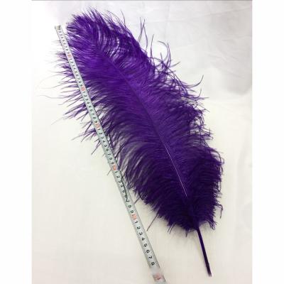 China Hot sale party/wedding/colorful ostrich dull feather 60-65cm carnival/grament decoration for party wedding stage dresses decoration for sale