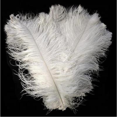 China Ostrich feather 26-28inch wedding white ostrich feathers for samba carnival costume backpack feather for sale