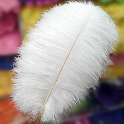 China Hot sale party/wedding/colorful ostrich feather 40-45cm carnival/grament decoration for party wedding dresses decoration for sale