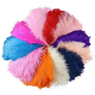 China Hot sale party/wedding/colorful ostrich feather 35-40cm carnival/grament decoration for party wedding dresses decoration for sale