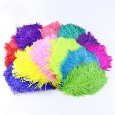 China Hot sale party/wedding/colorful ostrich feather 25-30cm carnival/grament decoration for party wedding dresses decoration for sale