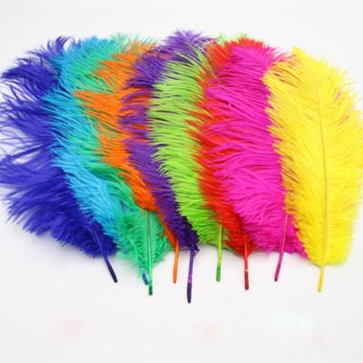 China Ostrich Feather 25-30cm Multicolor Smooth Fluffy Natural Ostrich Feather Wall For Decoration for sale