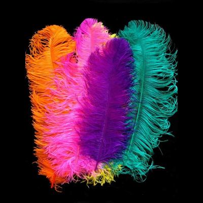 China Cheap party/wedding/selling 15-80cm carnival/grament decoration all size colorful ostrich feather for party wedding dresses decoration for sale