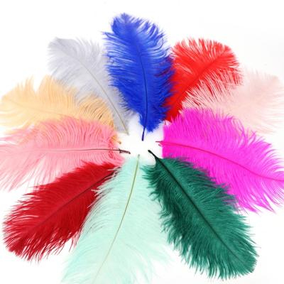 China Wholesale 6-8inch 15cm-20cm Ostrich Feather Colorful Ostrich Feather Mask Stock Feather Wall Material Manufacture for sale