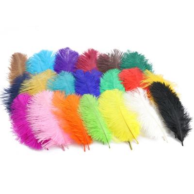 China 100pcs/Pack 6-8INCH (15-20cm) DIY Decorations Ostrich Feather For Hair Headdressing Ornaments for sale